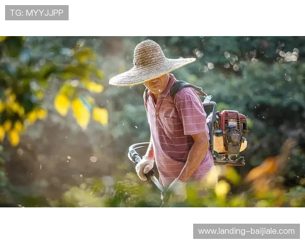 兴发真人：用真实的镜头记录生活中的点滴感动与精彩